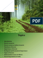 Forest Resources