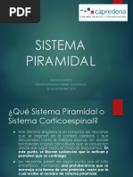 Sistema Piramidal