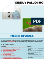 Fiebre Tifoidea y Paludismo