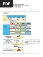 Resumo Imunidade Inata Adaptativa MHC Migrao Inflamao Citocinas Anticorpos.