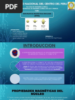 Resonancia Magnetica Nuclear