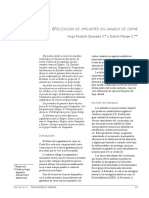 Utilización Implantes en Ganado de Carne