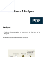 5 - Inheritance & Pedigree