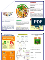 Alimentacion Saldable 2