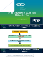 Ley 29783 Ley de Seguridad y Salud en El Trabajo 1