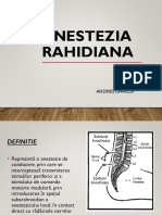 Anestezia Rahidiana