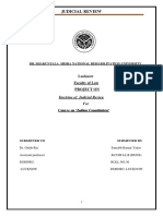 Judicial Review PDF