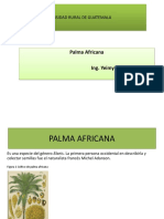 Palma Africana