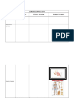 Cuadro Comparativo 2