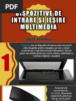 Dispozitive de Intrare Și Ieșire Multimedia