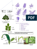 Bentuk Daun SPT 01-Revisi Sept 2019