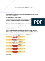 Cómo Se Forma Un Coágulo Sanguíneo