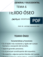 6 - Tejido Óseo