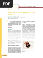 Dialnet PrincipalesEctoparasitosisDelConejo 2734003 PDF