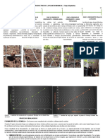 Ciclo Productivo de La Planta Moringa