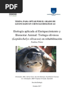 Etología Aplicada Al Enriquecimiento y Bienestar Animal: Tortuga Olivácea