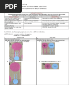 General Biology 2 Notes