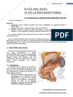 E2. Cirugía Del Bazo REVISADA