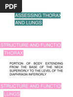 Assessing Thorax and Lungs