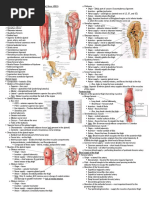 Gross HSB A - Gluteal Region, Hip Joint, and Posterior Thigh