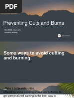 Preventing Cuts and Burns: VELARDE, Mark John Villiadolid, Bradley