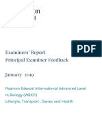 Examiner Report Jan 2019