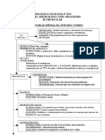 Esquema Tema 1 3º Eso