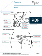 2.1.1 Reproductive Systems Teacher Answer Sheet