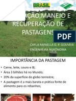 Curso de Pastagem Pronto