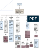 Mapa Conceptual Estadistica