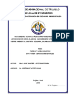 Tesis Doctoral - Jose Lopez Goicochea