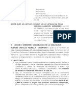 Demanda de Reduccion de Pensiones