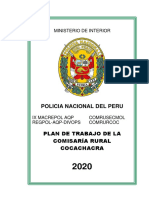 Plan Trabajo 2020