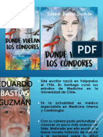 Contextualización - Donde Vuelan Los Cóndores