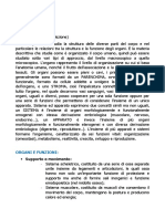 Appunti Di Anatomia Umana PDF