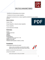 Trabajo Práctico Magnetismo