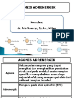 Agonis Adrenergic