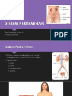 Sistem Perkemihan