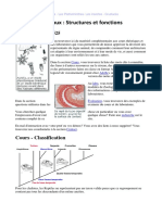 Protozoa - Les Plathelminthes - Les Insectes - Crustacés