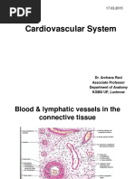 Cardiovascular System