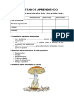 Actividad de Plataforma Reinos 6