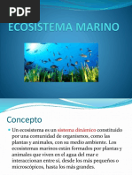 Ambiente Marino