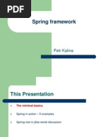 Spring Framework: Petr Kalina