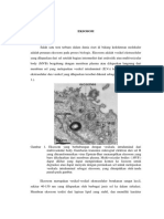 HUSNURRIZAL EXOSOME. Origins and Activities of Exosome