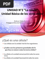 Unidad N°1