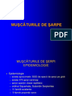 Muscaturile de Serpi