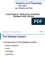 Skeletal System 1