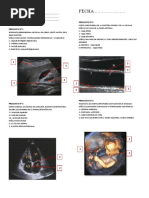 Guia - Practica #2