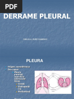 Derrame Pleural Muro