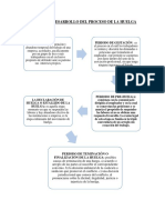 ESQUEMA O DESARROLLO DEL PROCESO DE LA HUELVA Tarea Ultimo Texto